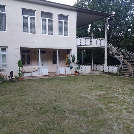 Гостевой дом Тамуна Мартвили Экстерьер фото